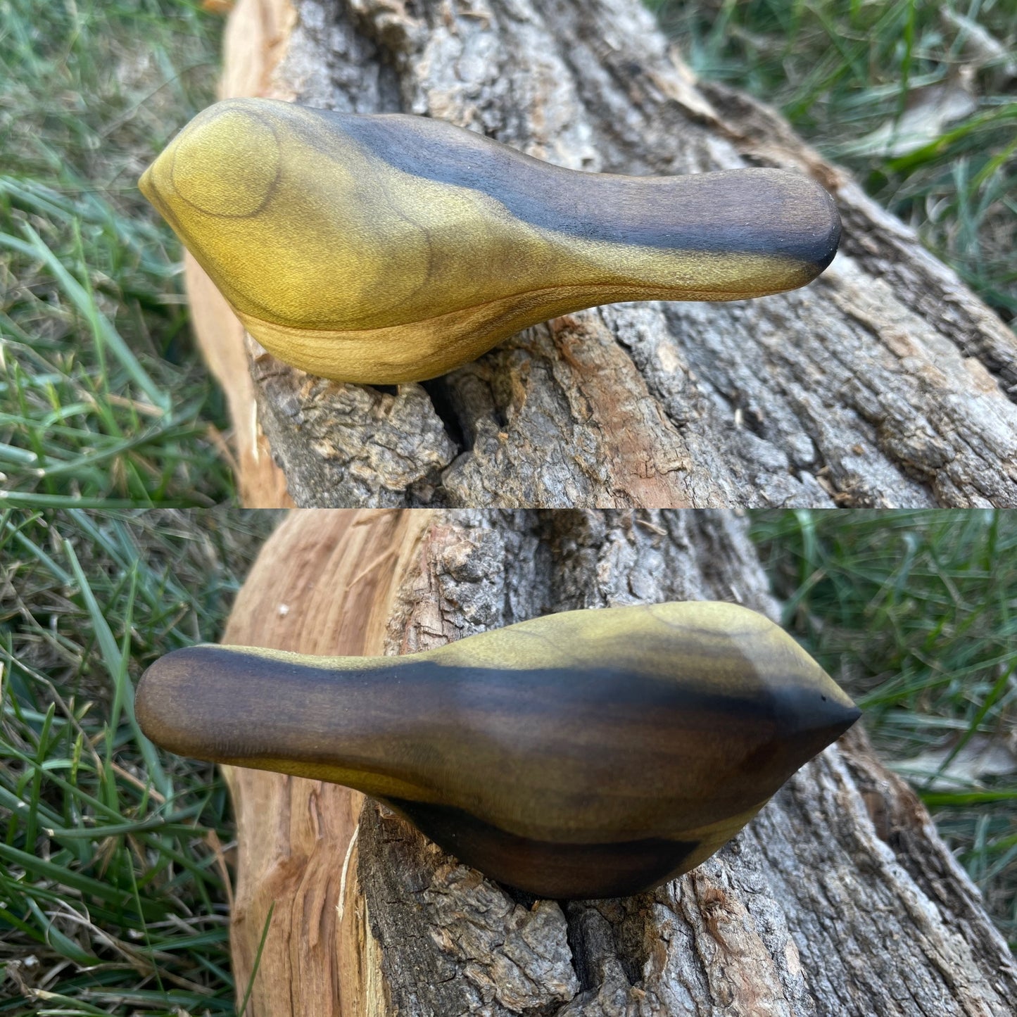 Comfort Birds