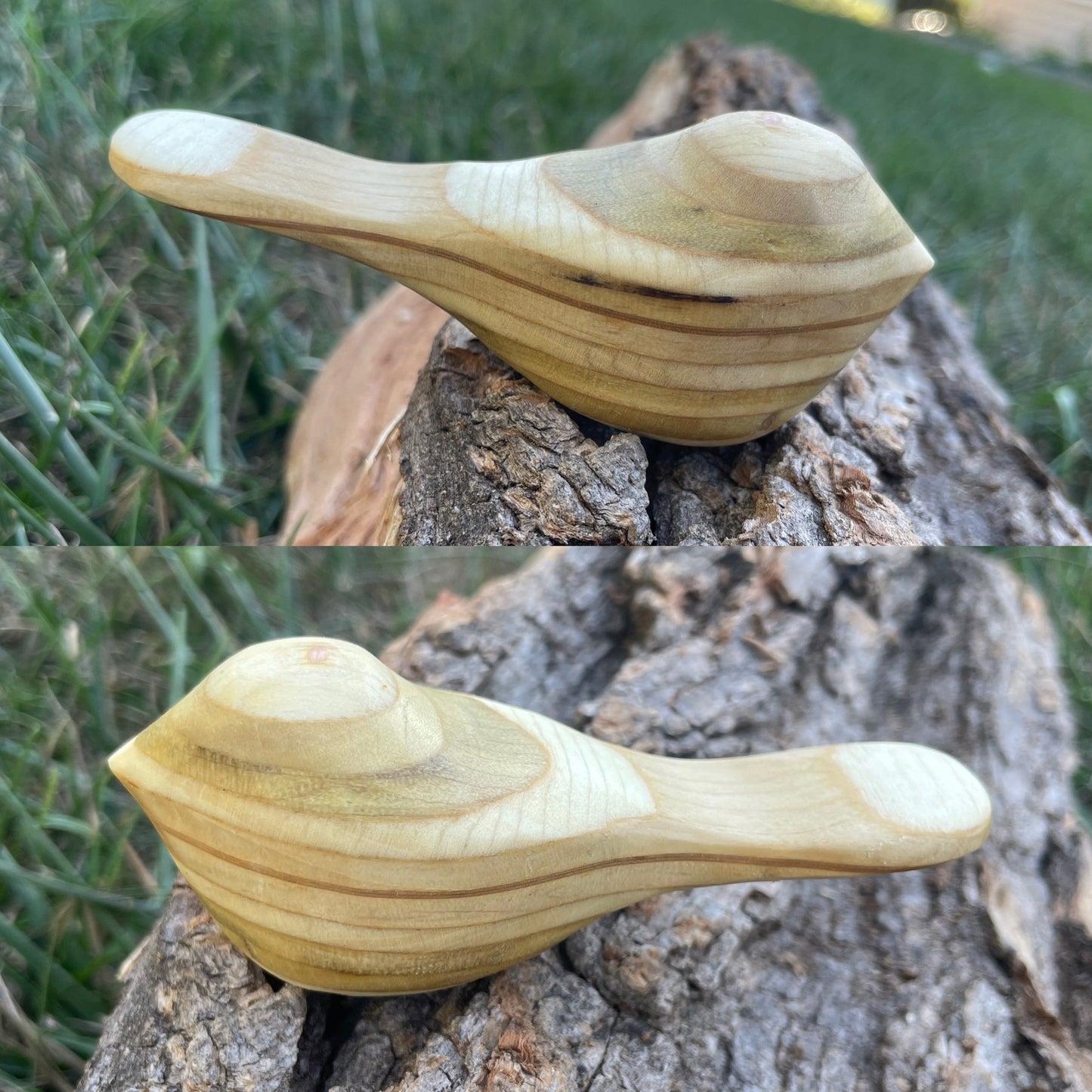 Comfort Birds