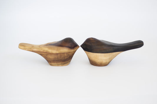 Rainbow Poplar Comfort Birds - 5/31 drop